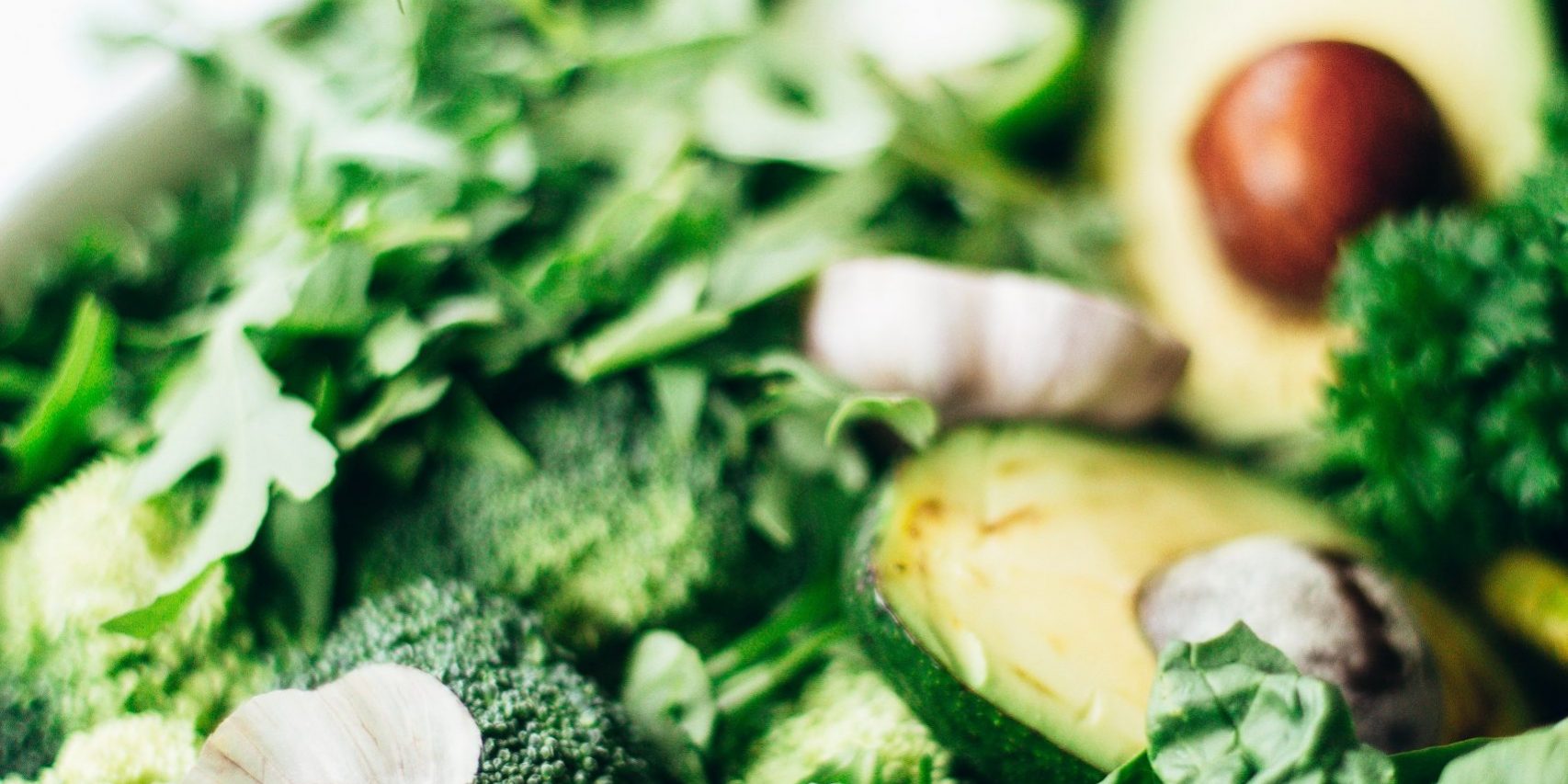 pexels-daria-shevtsova-1580466